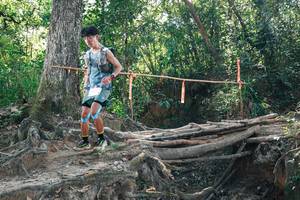 BIB: 
                            <button type="button" onclick="openModal(27743693)" class="btn btn-primary btn-sm float-right btn-popup" data-toggle="modal" data-target=".modal-high-quality">
                        <i class="fas fa-shopping-cart"></i> Add to Cart
                    </button>
                                            <button type="button" onclick="isThisMe(27743693, true)" class="btn btn-success btn-sm float-right btn-popup btn-isme hidden" data-toggle="tooltip" data-placement="bottom" title="นี่คือรูปของคุณใช่ไหม คลิกที่นี่เพื่อเอาเข้าอัลบั้ม">
                        <i class="fas fa-plus"></i> Add to album
                    </button>
                    <button type="button" onclick="isThisMe(27743693, false)" class="btn btn-warning btn-sm float-right btn-popup btn-isnotme hidden">
                        <i class="fas fa-ban"></i> Remove from album
                    </button>